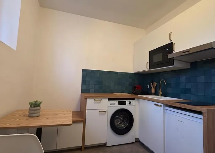 Le Cocon Toulousain Apartment