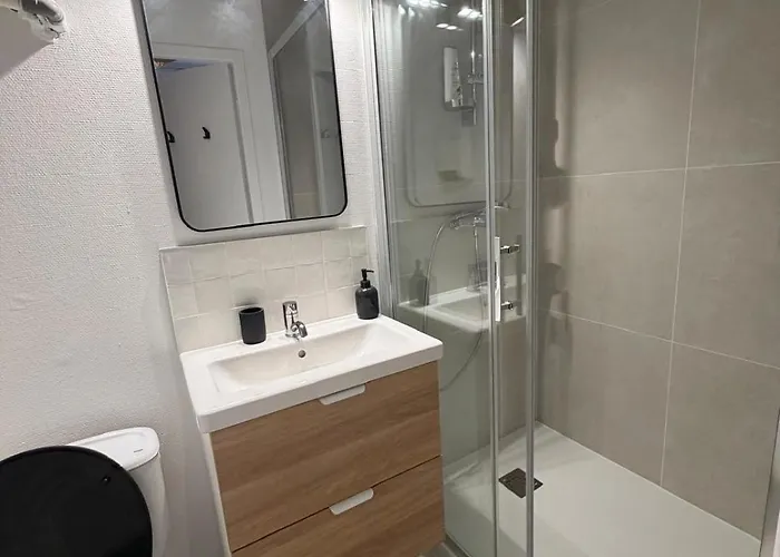 Le Cocon Toulousain Apartment